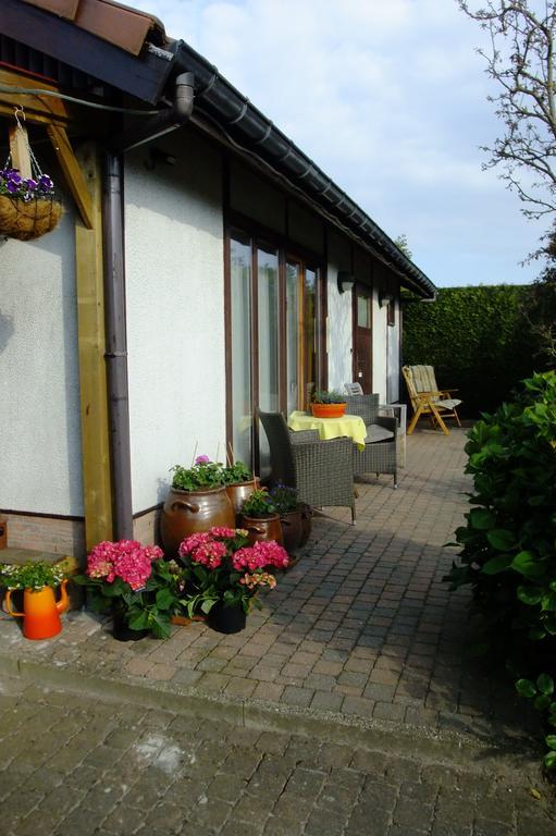 De Zon B&B Heist-op-den-Berg Exteriér fotografie